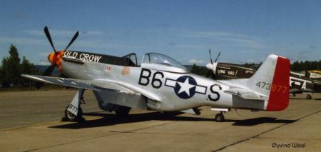 mustang1.jpg